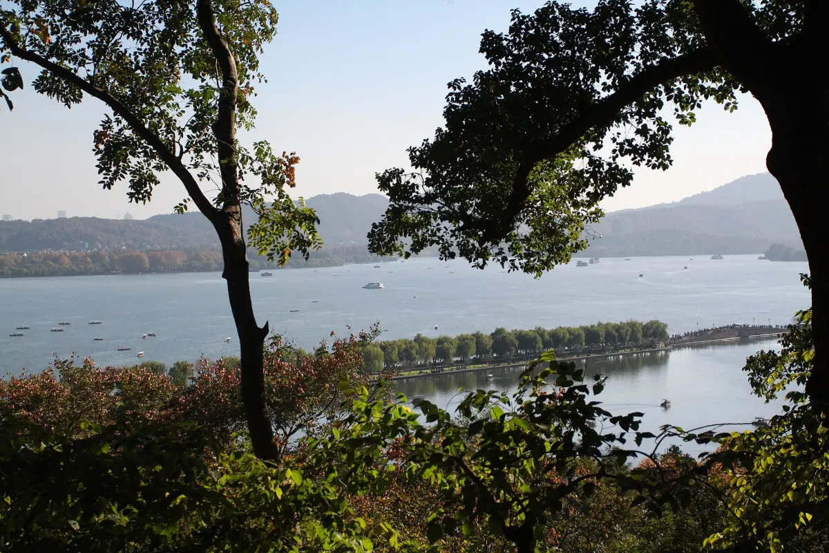 West Lake seen through trees from the shore