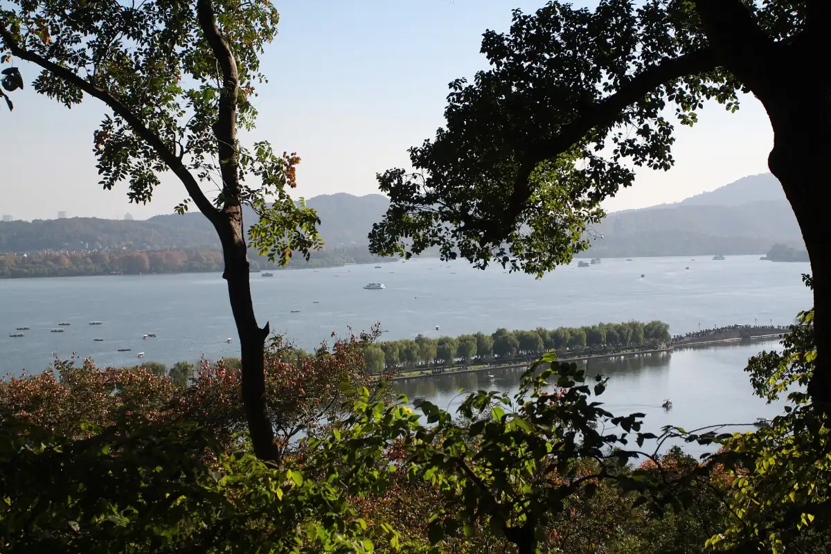從湖岸透過樹木望向西湖